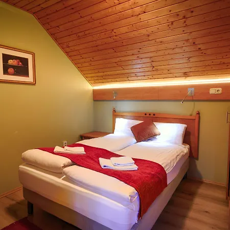 Szálloda Erdei 3*